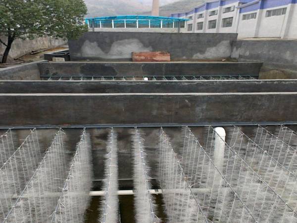 柳州xx廠 污水處理廠填料